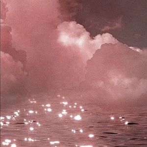 Meet your Posher, Sharlie anne